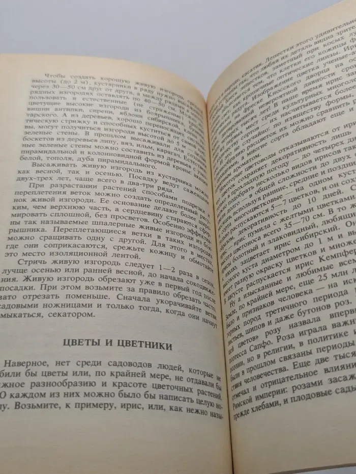 Ваш сад. Советы ландшафтного архитектора