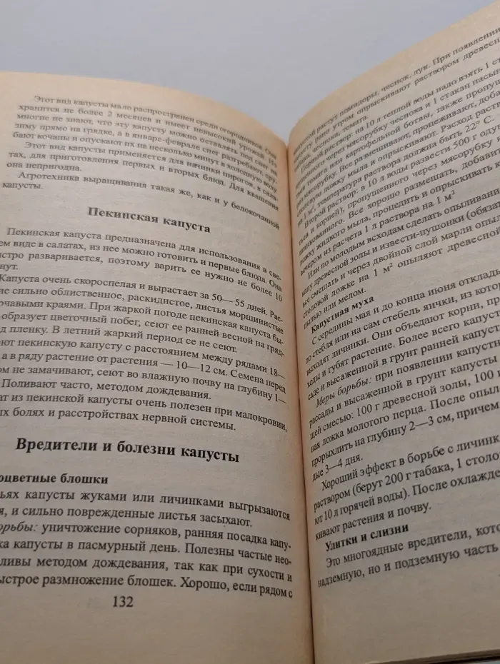 Наш огород