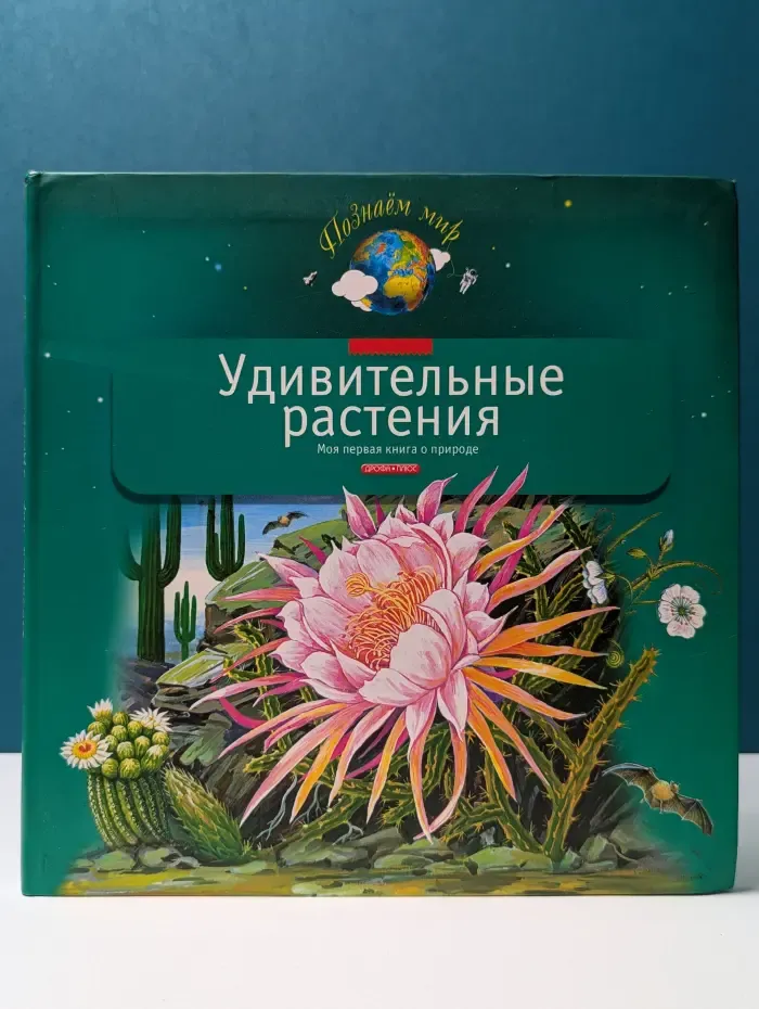 Познаем мир. Удивительные растения: Моя первая книга о природе