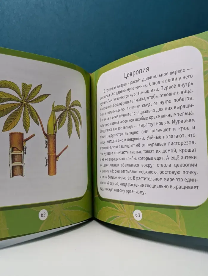 Познаем мир. Удивительные растения: Моя первая книга о природе