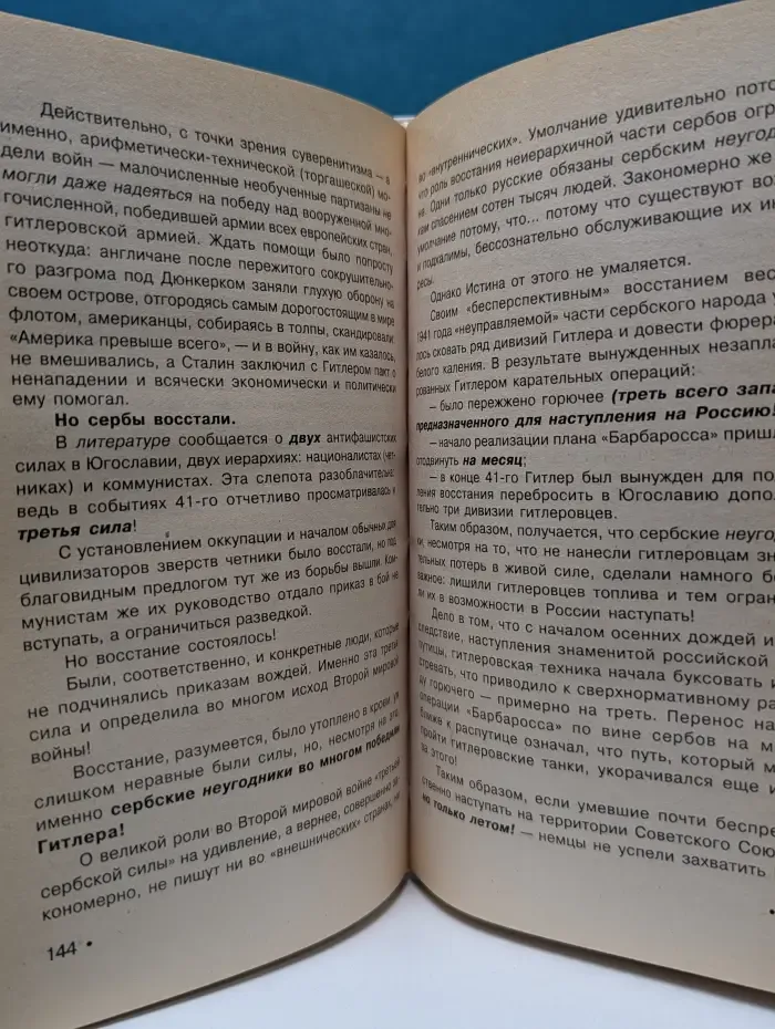 Дурилка. Записки зятя главраввина