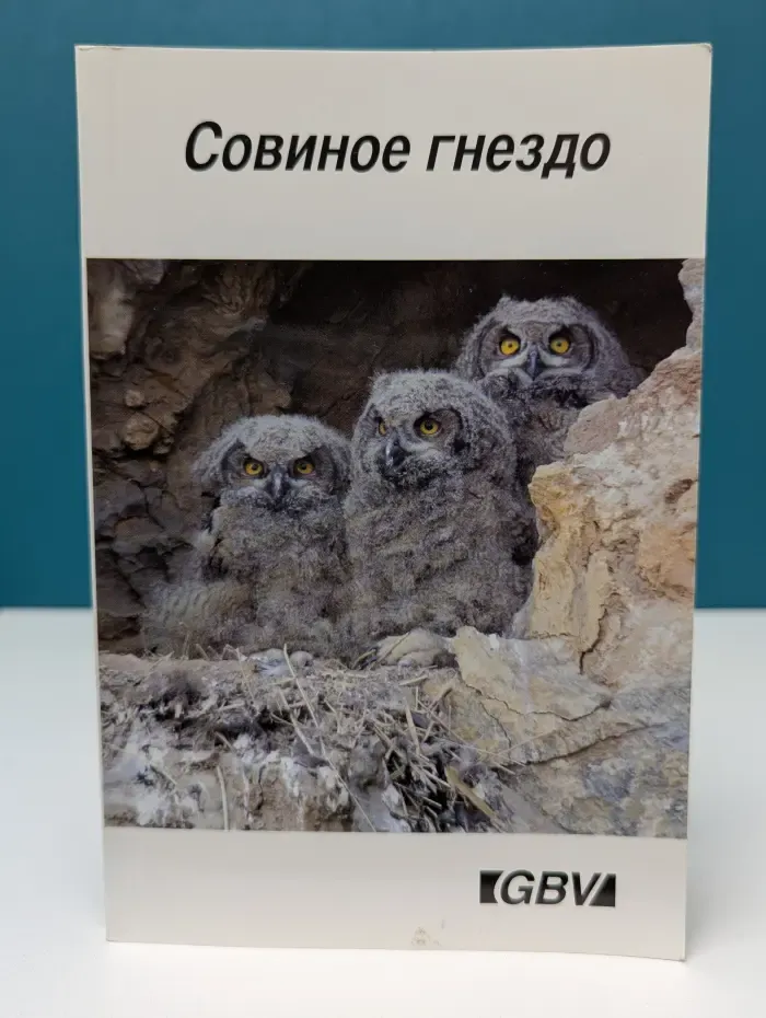 Совиное гнездо