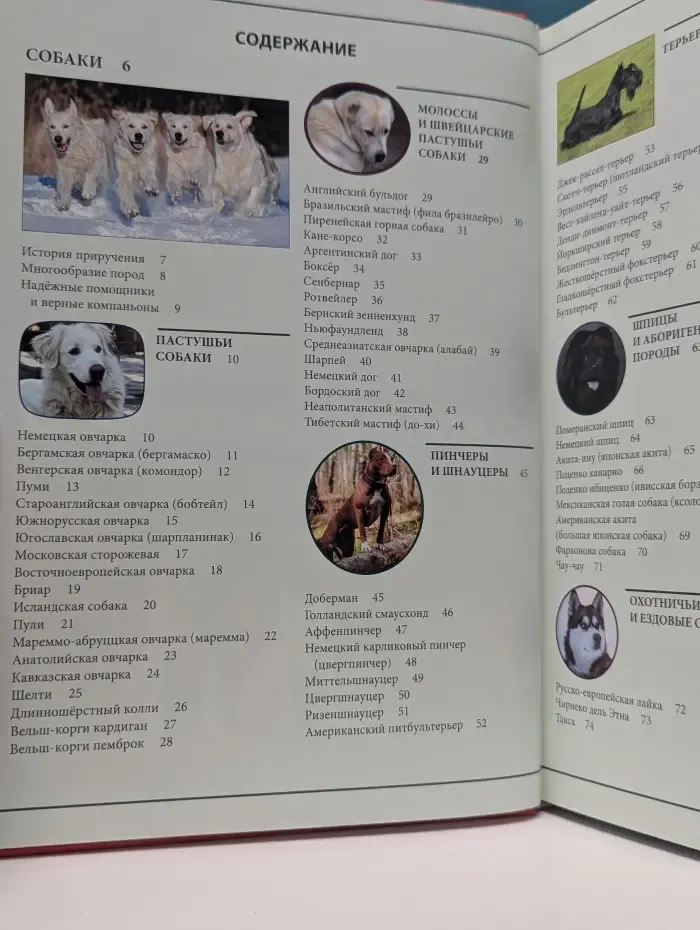Энциклопедия о кошках и собаках