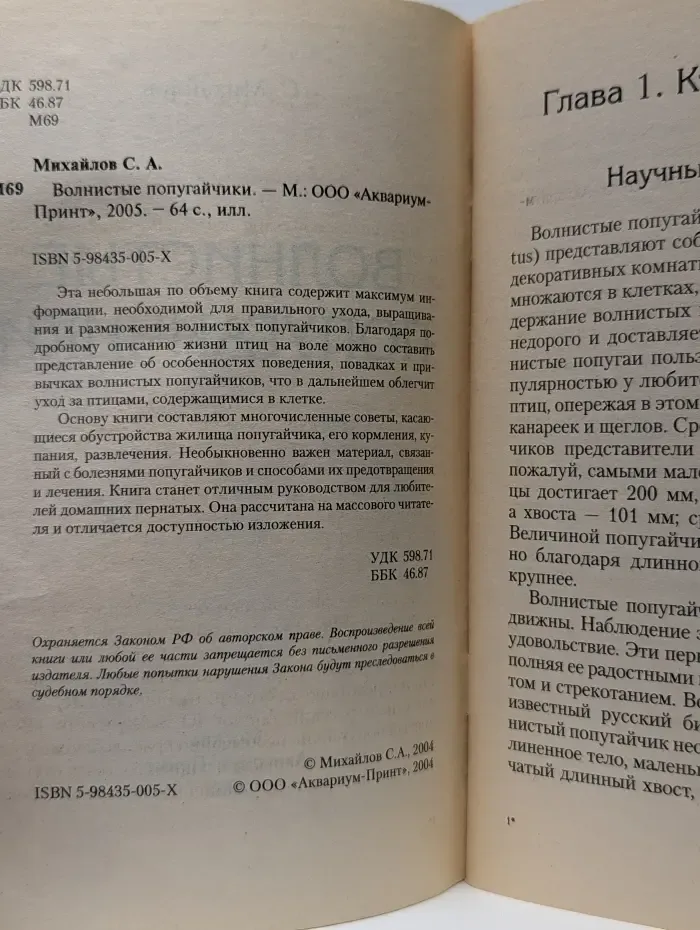 Волнистые попугайчики