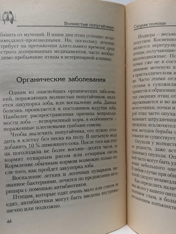 Волнистые попугайчики