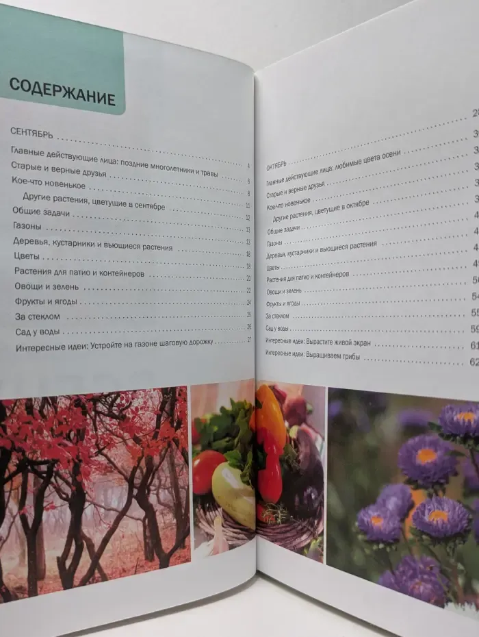 Наш сад. Год садовода. Осень