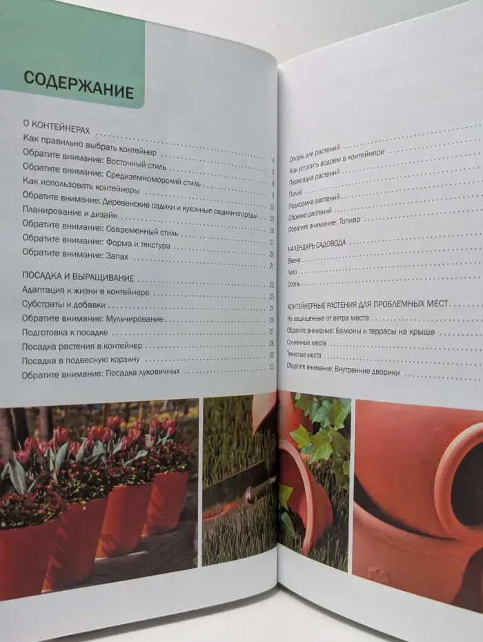 Наш сад. Контейнерные растения