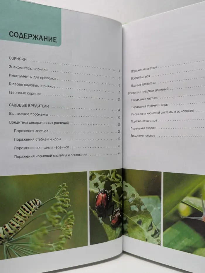 Наш сад. Садовые вредители