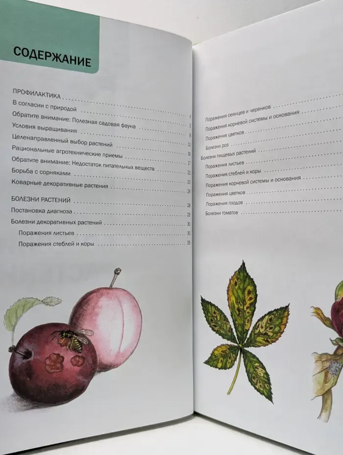 Наш сад. Болезни растений