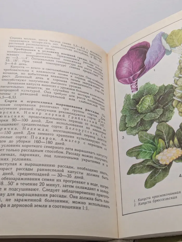На приусадебном участке. Советы садоводу и огороднику