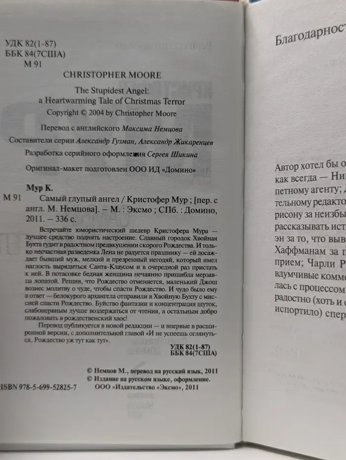 Самый глупый ангел