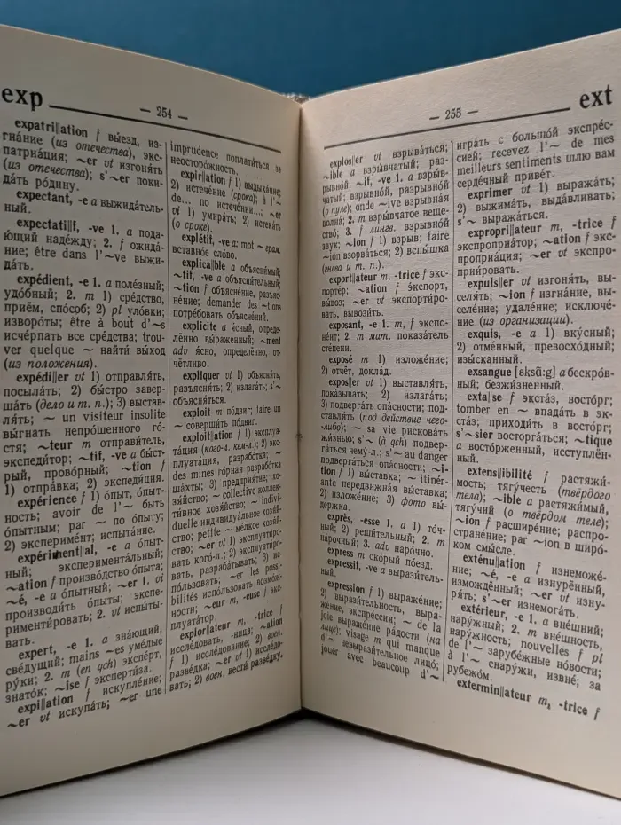 Французско-русский словарь