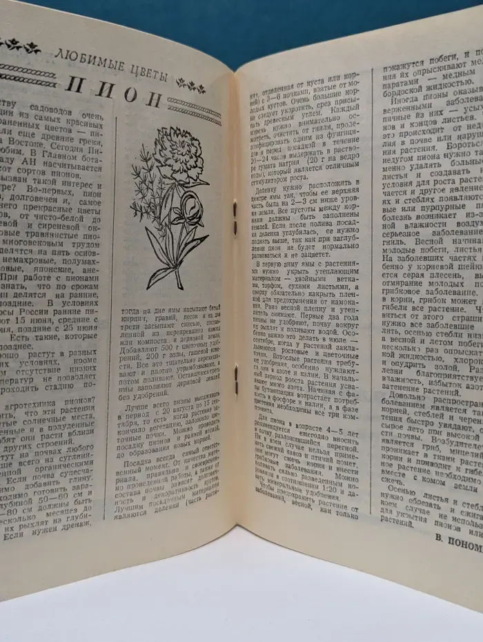 Огородные подсказки № 1/1994