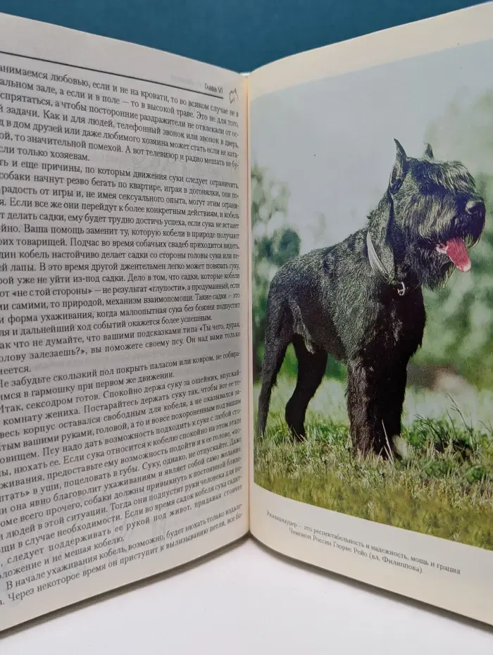 Все о шнауцерах.  В 3 книгах. Книга 1. Ризеншнауцер