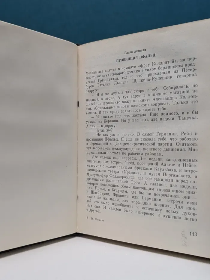 Пламенные революционеры. Не дом, но мир