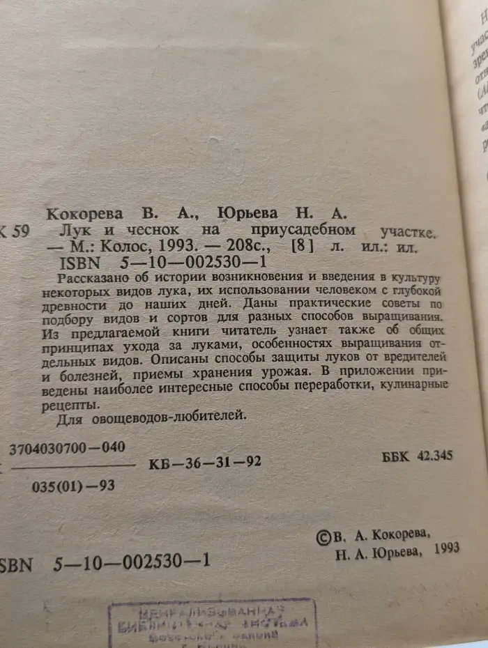 Лук и чеснок на приусадебном участке