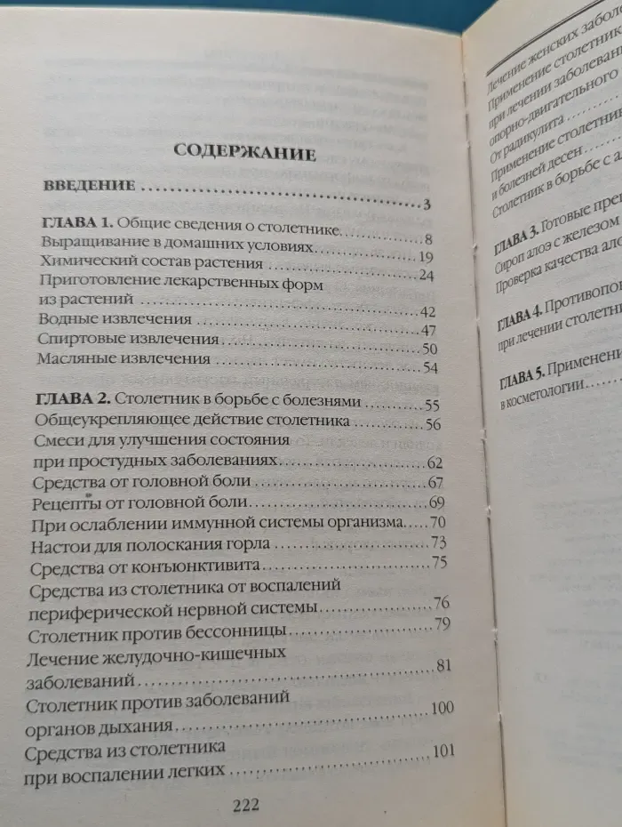 Столетник от А до Я