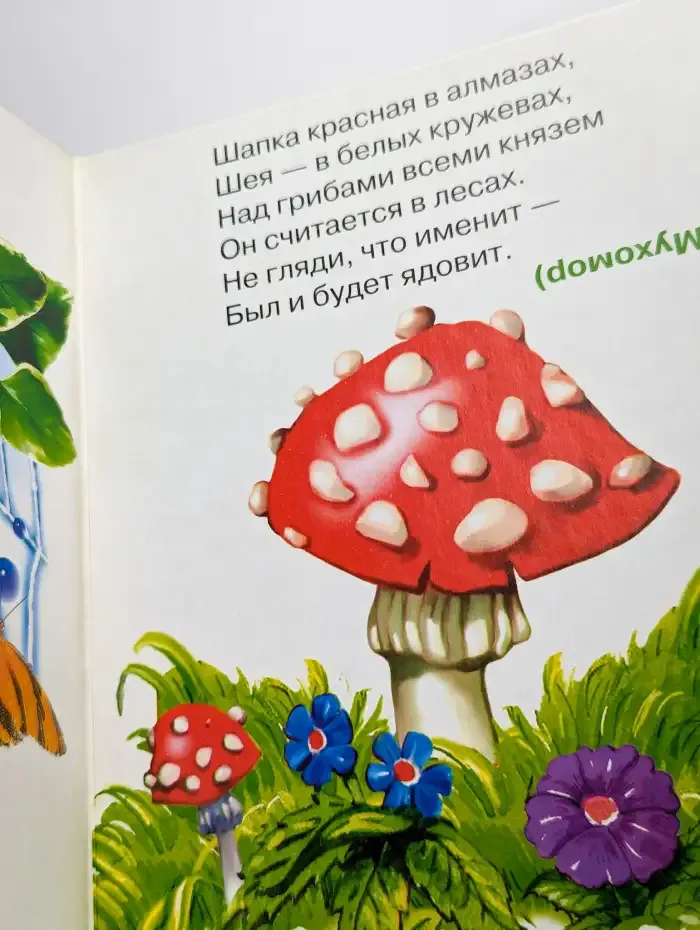 Маленькие загадки