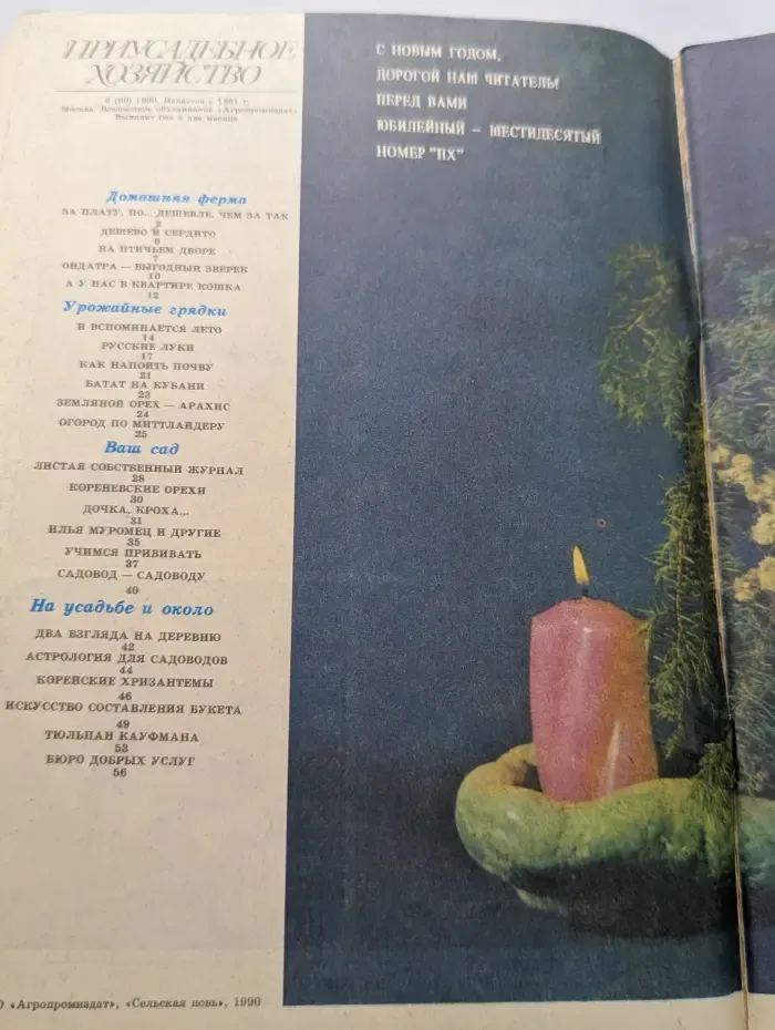Приусадебное хозяйство. Выпуск № 6/1990
