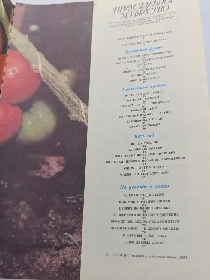 Приусадебное хозяйство. Выпуск № 4/1987
