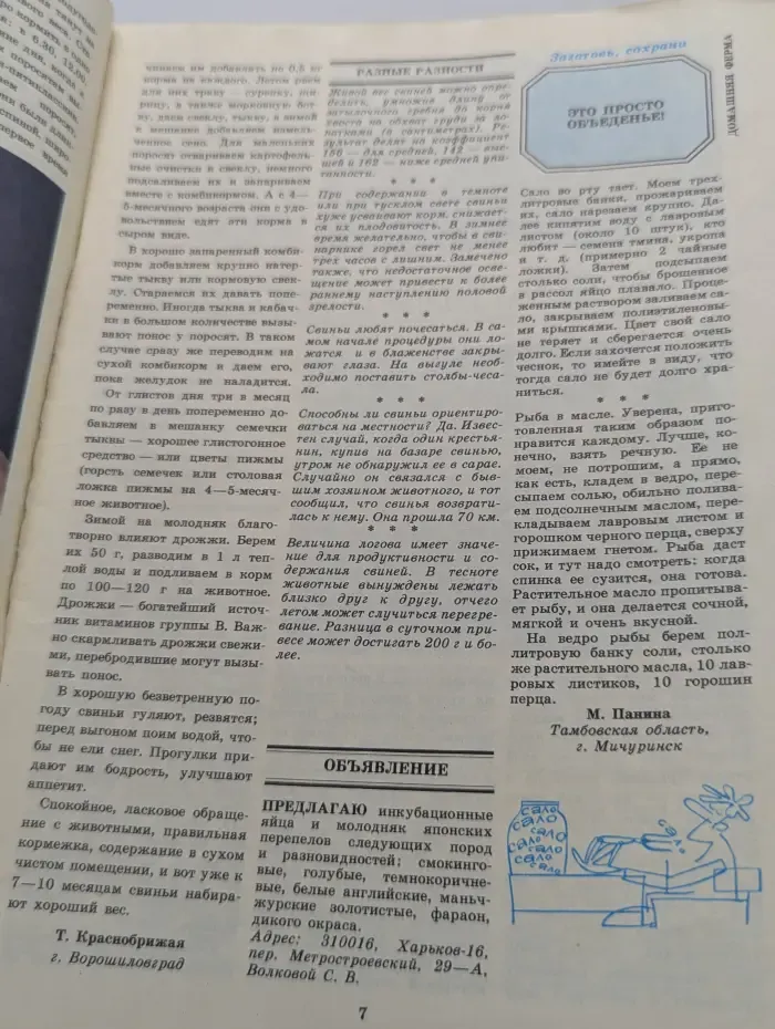 Приусадебное хозяйство. Выпуск № 5/1989
