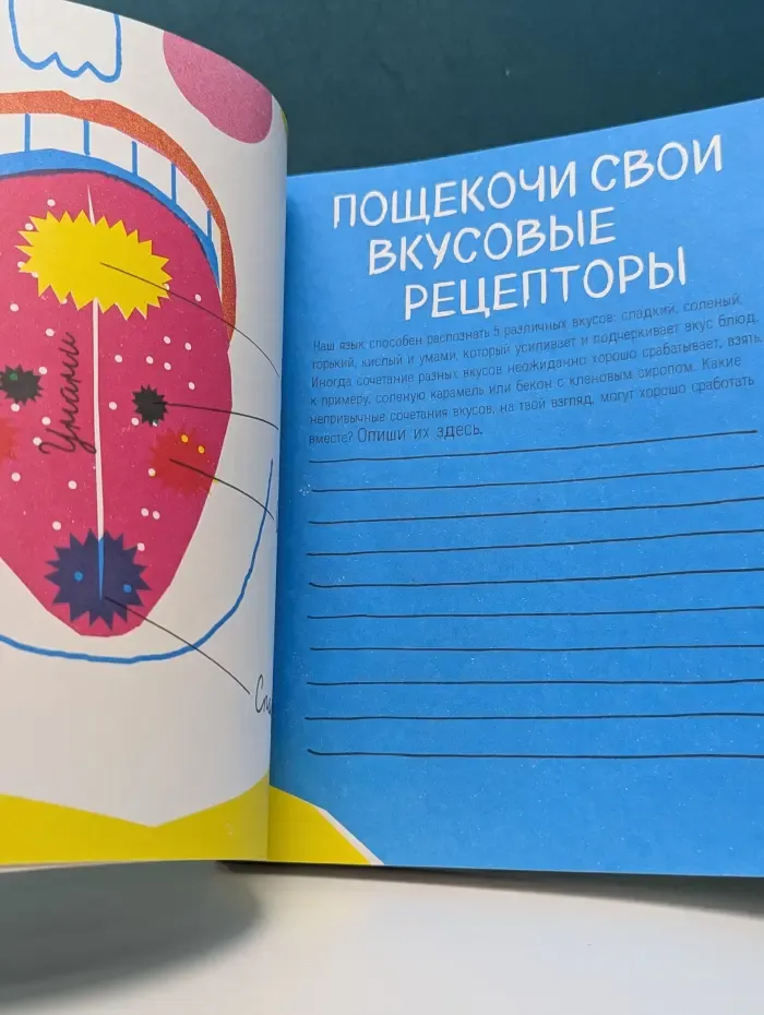 Узнавай! Сочиняй! Отгадывай! Большая книга игр про еду