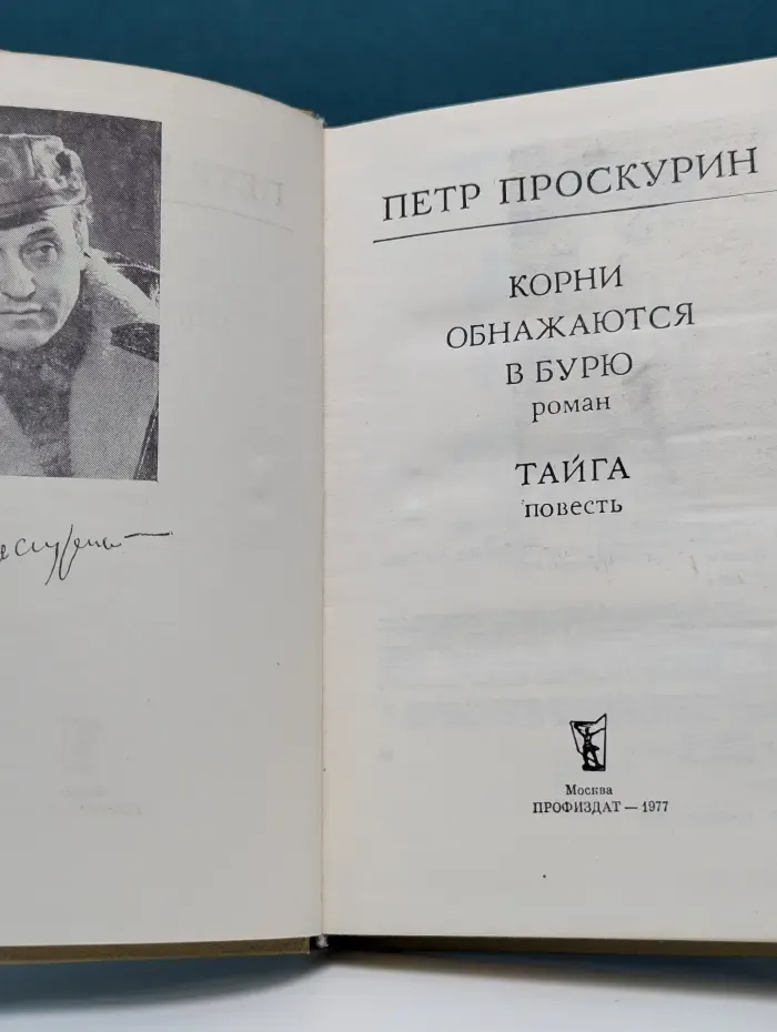 Корни обнажаются в бурю