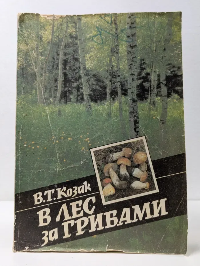 В лес за грибами