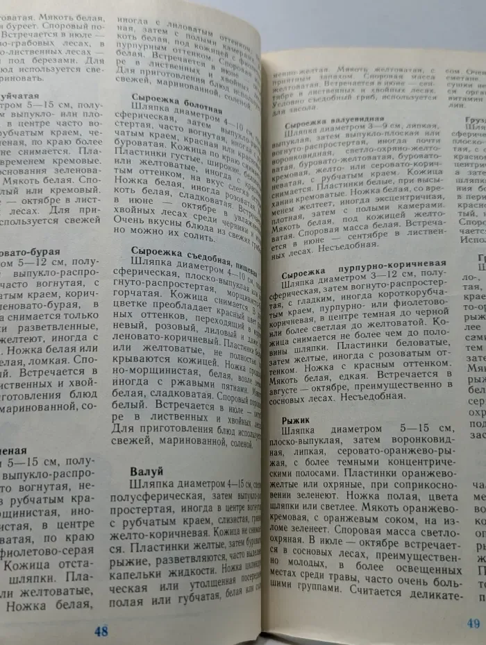 В лес за грибами