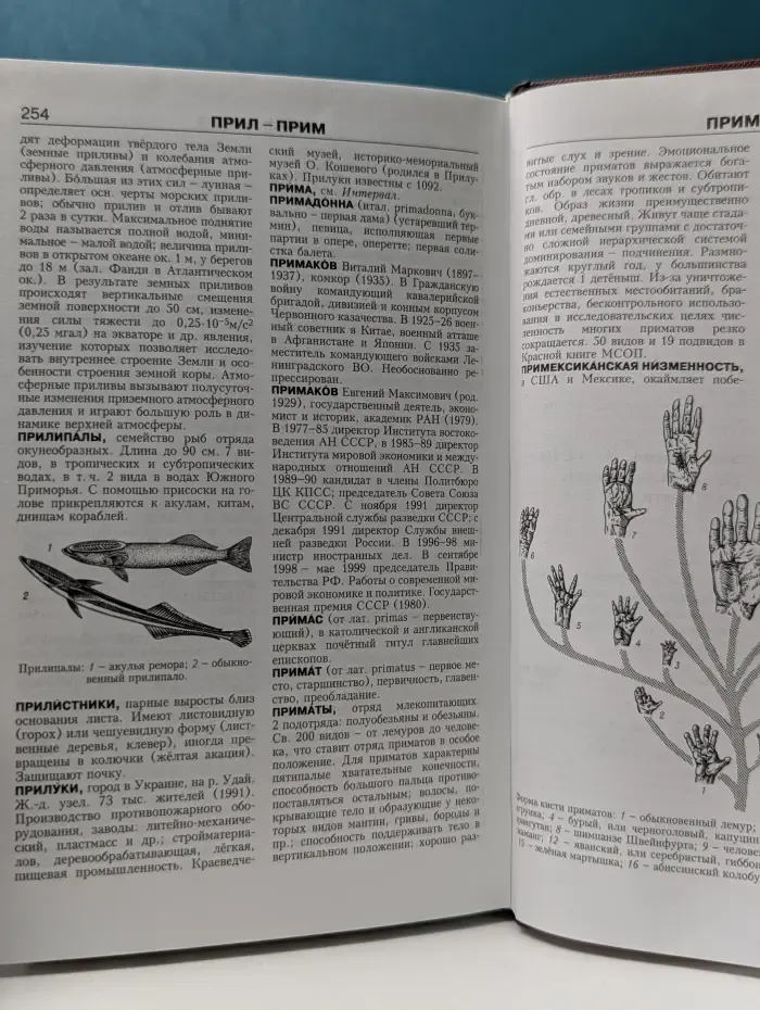 Новая иллюстрированная энциклопедия. Книга 14. Пе - Пр