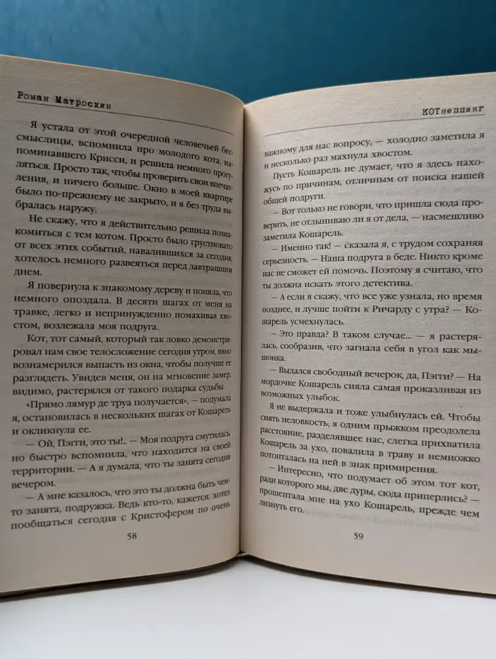 Остросюжетный котектив. КОТнеппинг. Помеченная территория