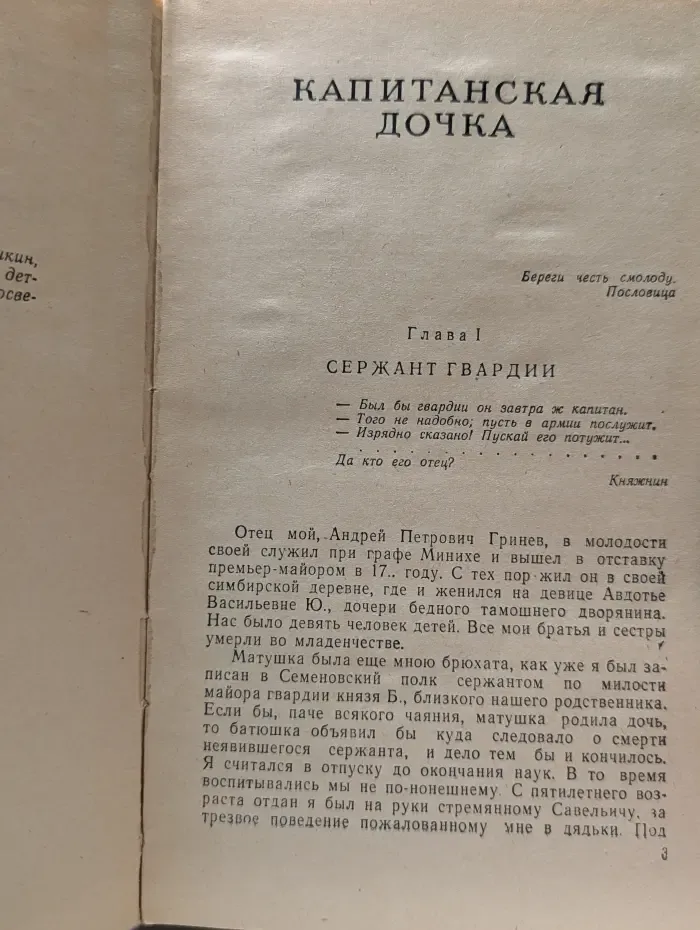 Школьная библиотека. Капитанская дочка. Дубровский