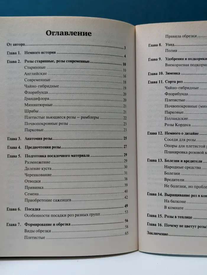 Моя прекрасная дача. Том 30. Розы в саду и дома