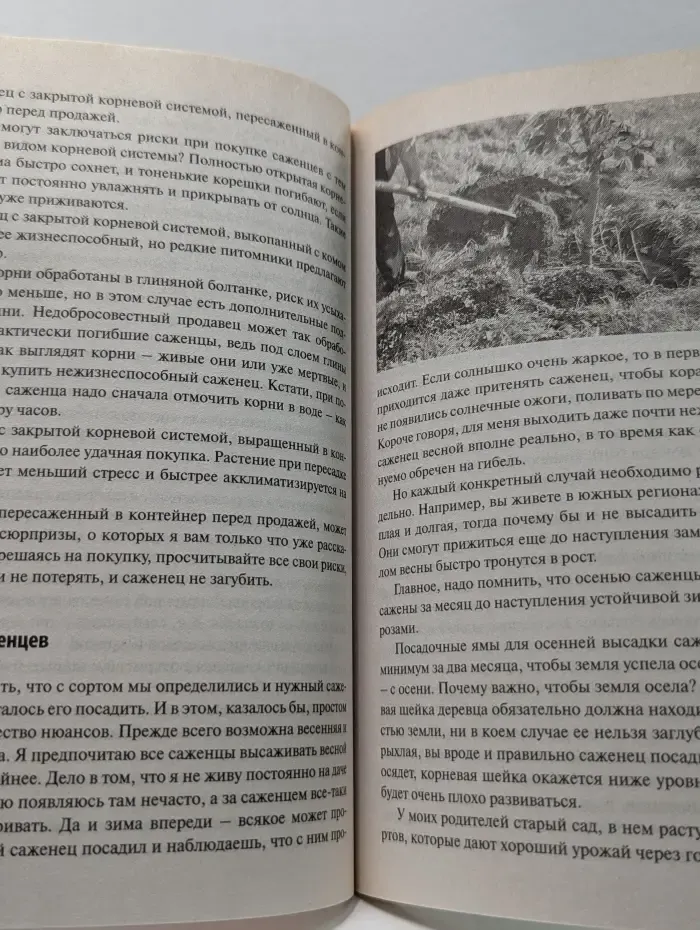 Моя прекрасная жизнь. Энциклопедия дачной жизни. Том 42. Яблони и груши