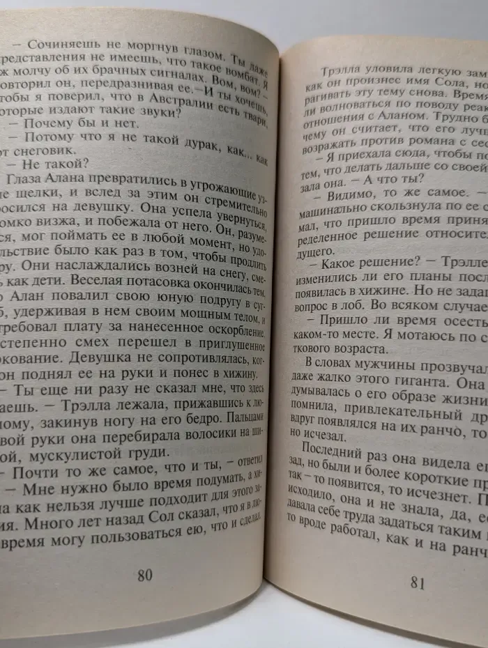 Панорама романов о любви. Младшая сестра