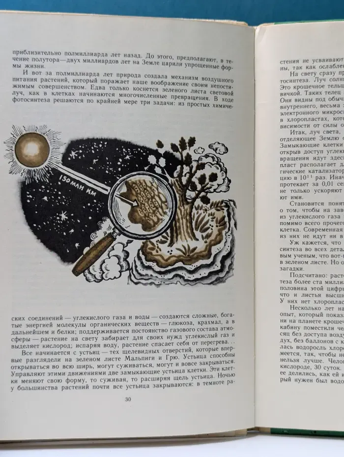 Хлеб сегодня, хлеб завтра