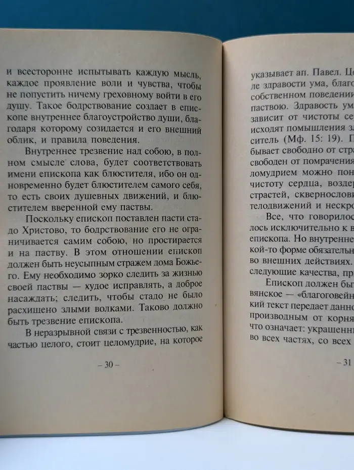 Снисхождение. Духовно-нравственный облик русского архиерея