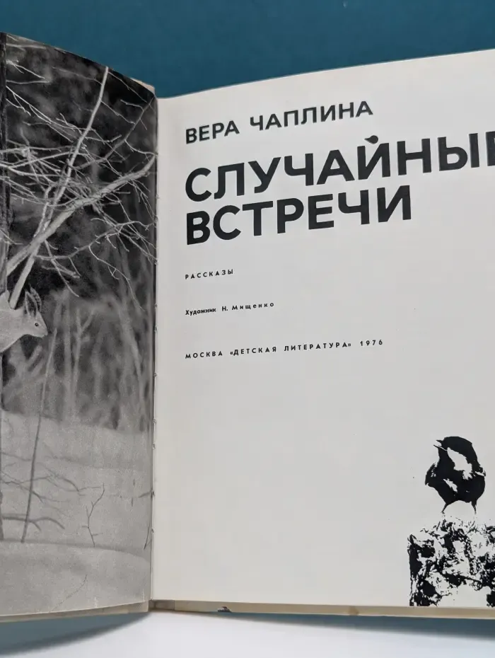 Случайные встречи