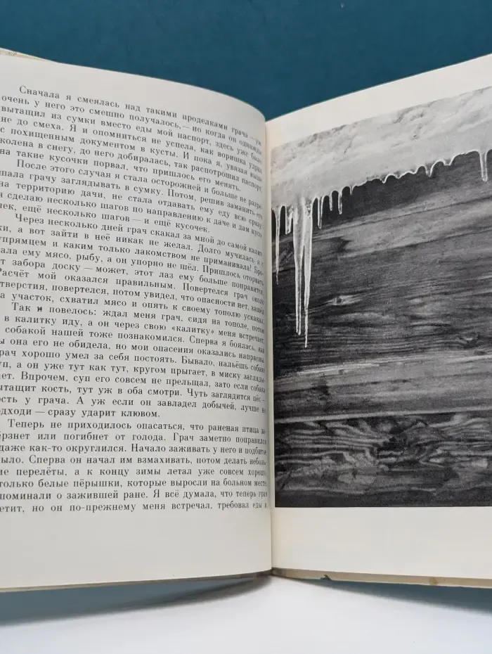 Случайные встречи