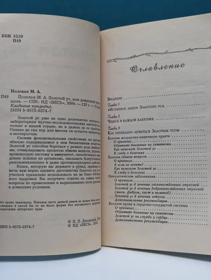 Золотой ус, или домашний женьшень