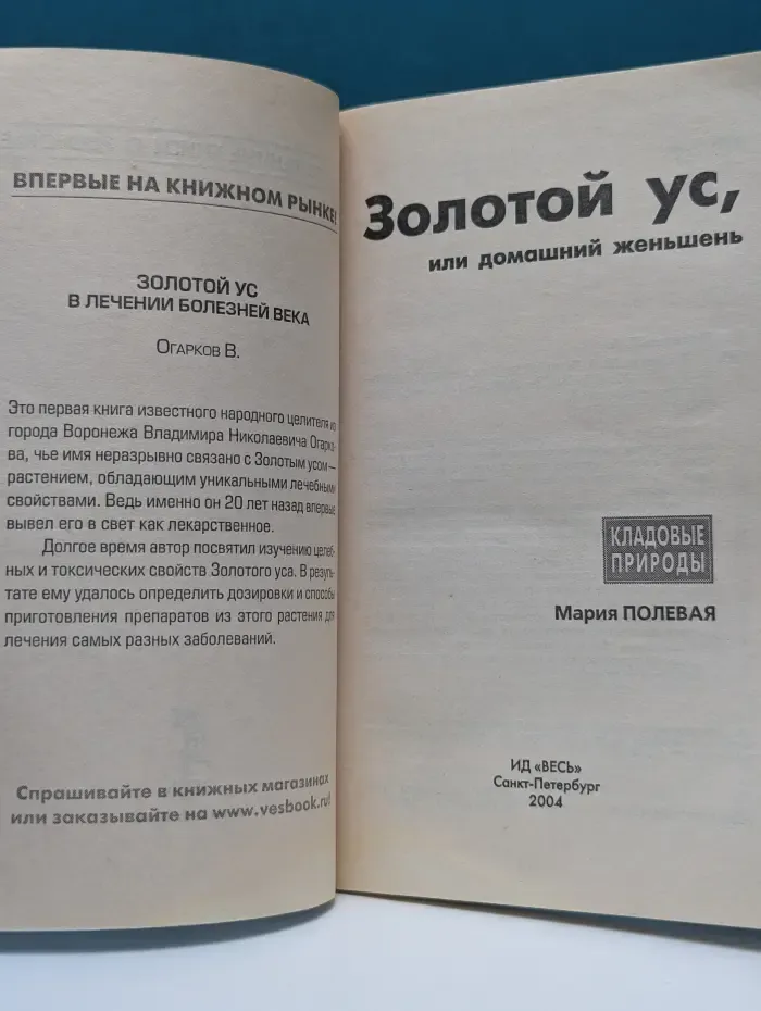 Золотой ус, или домашний женьшень