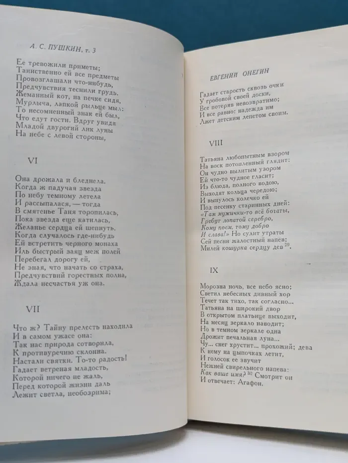 А. С. Пушкин. Сочинения. Том 3. Евгений Онегин. Романы и повести. Путешествие в Арзрум