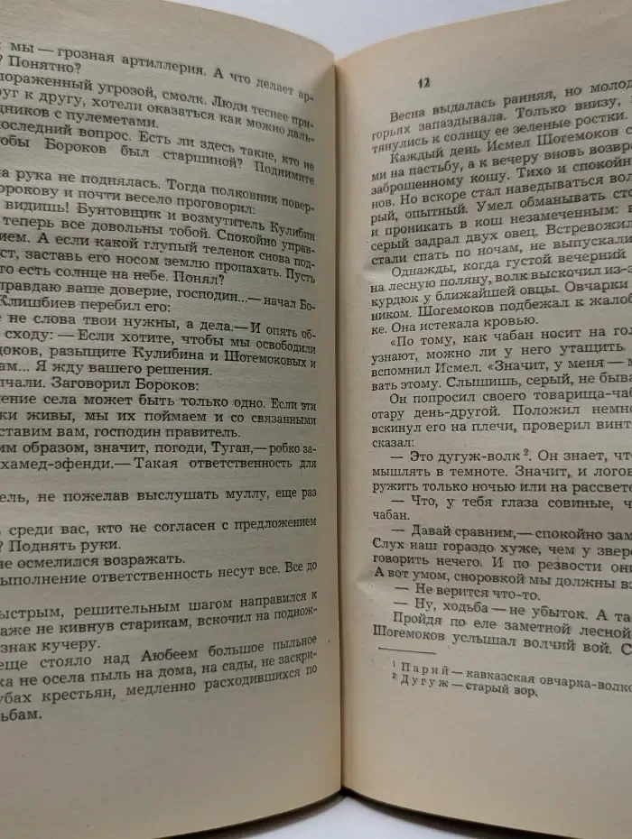 Род Шогемоковых