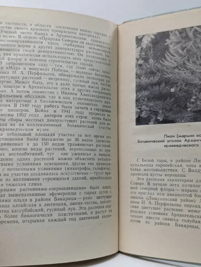 Люблю все живое