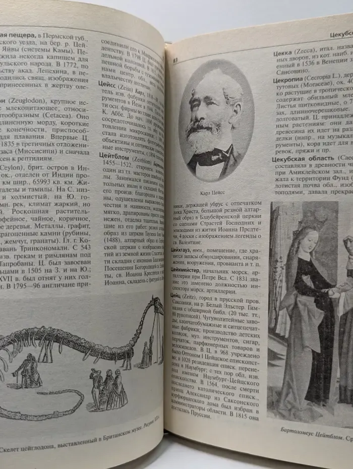 Иллюстрированный энциклопедический словарь Ф. А. Брокгауза и И. А. Ефрона. Том 22