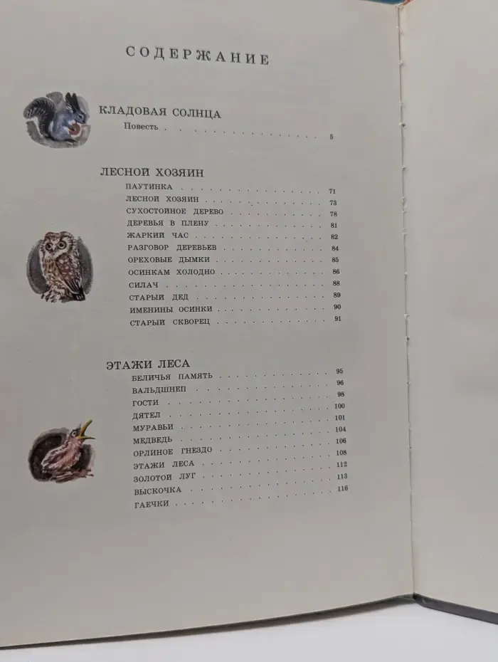 Кладовая солнца