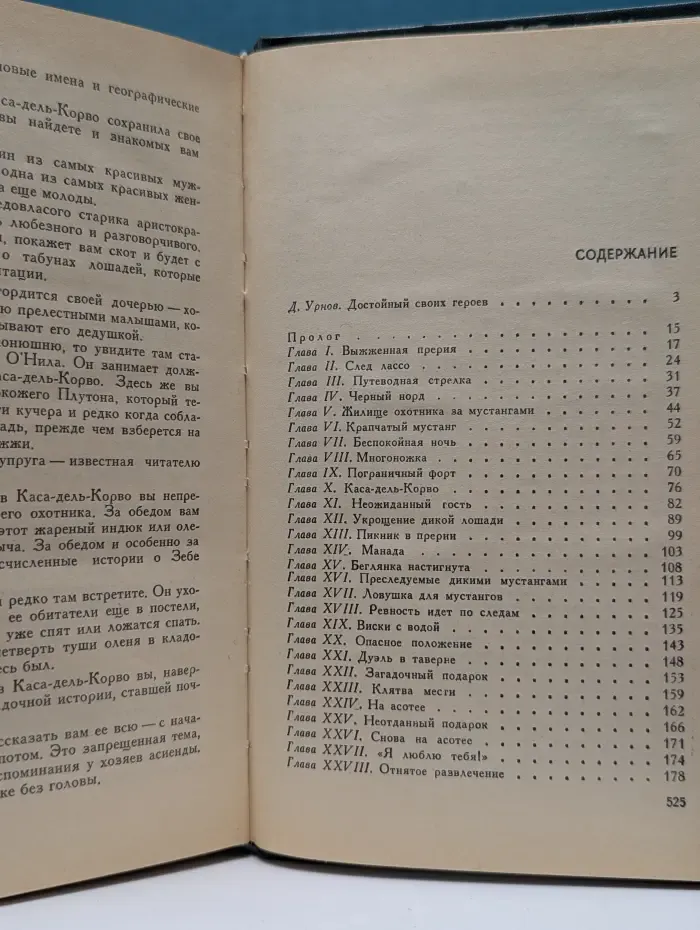 Всадник без головы