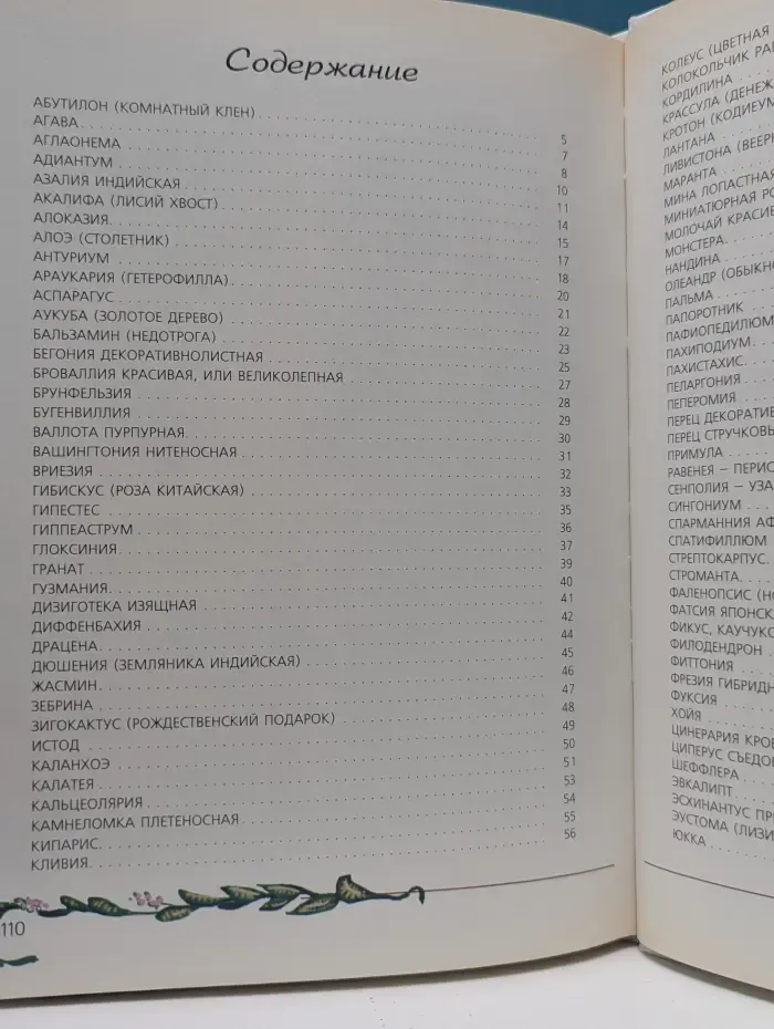 Любимые домашние цветы