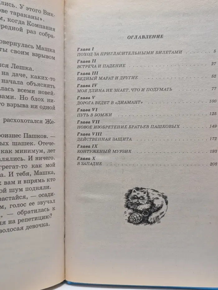 Черный котенок. Загадка туристического агентства