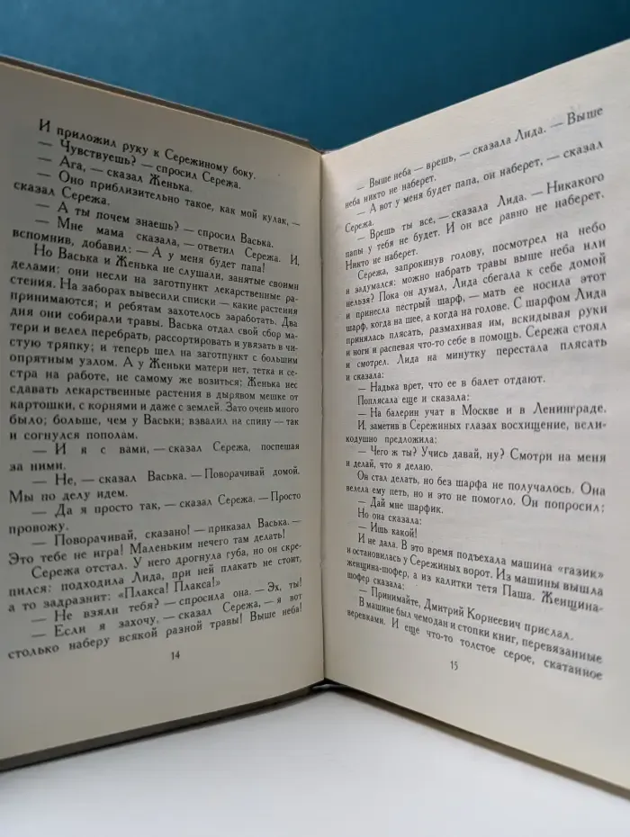 Сережа. Несколько историй из жизни очень маленького мальчика